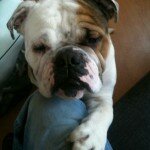 bubbl1